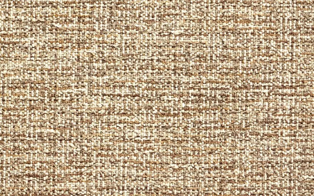 CANOPUS Cider 10006-02