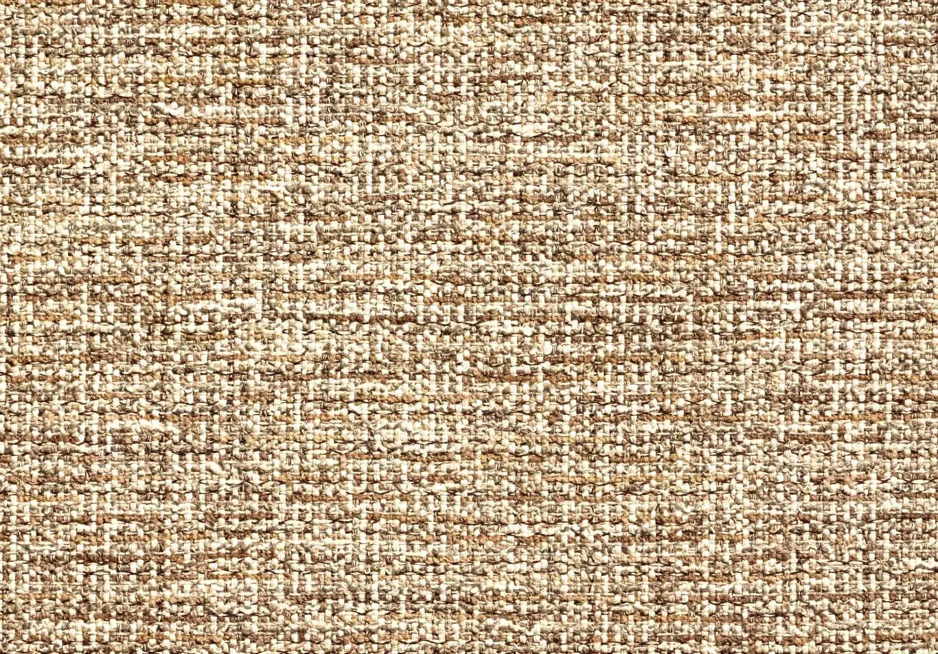 CANOPUS Cider 10006-02