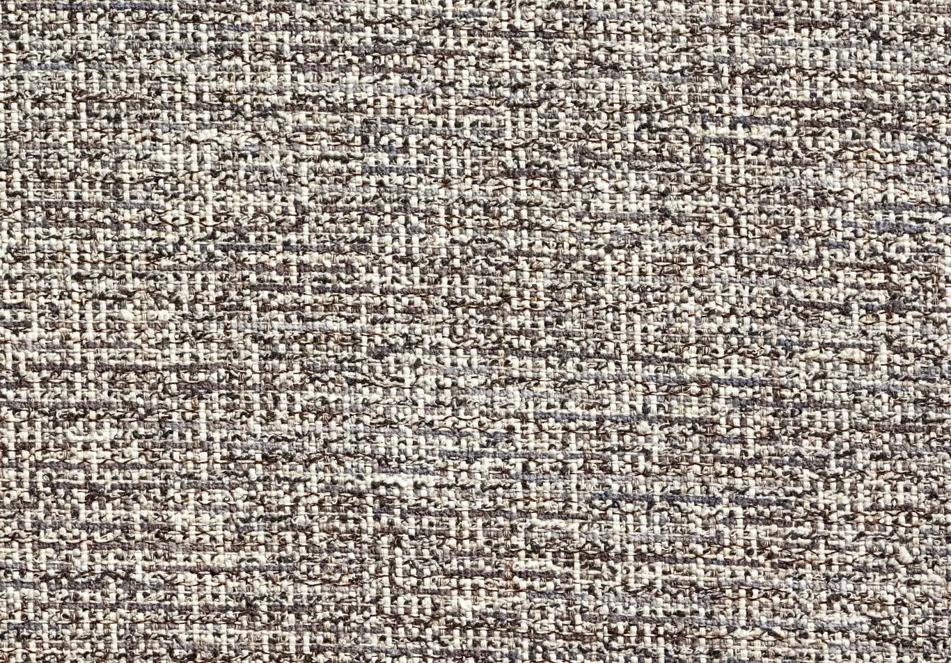 CANOPUS Porpoise 10006-05