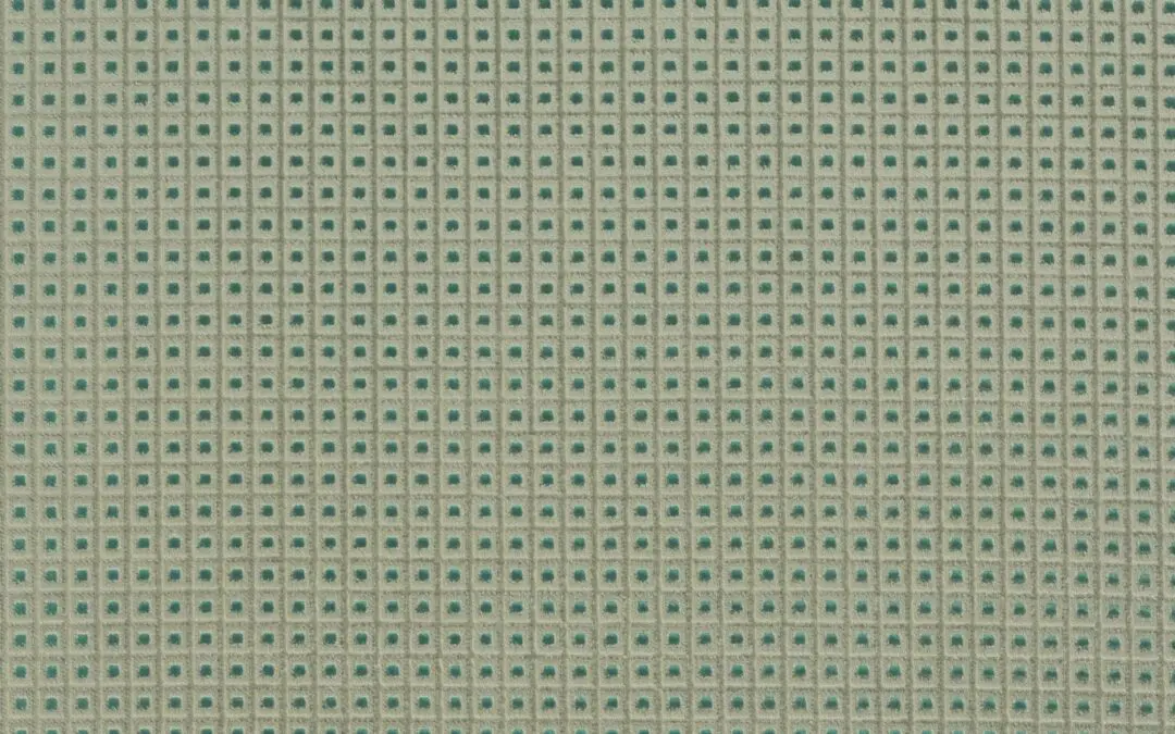 CHEETAH Jungle 15004-02