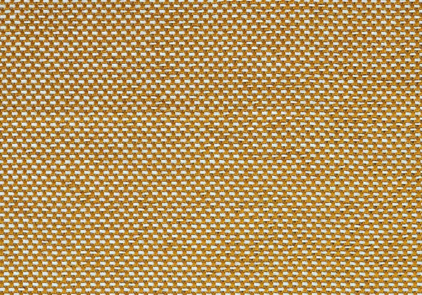 MIMOSA Marigold 12006-11