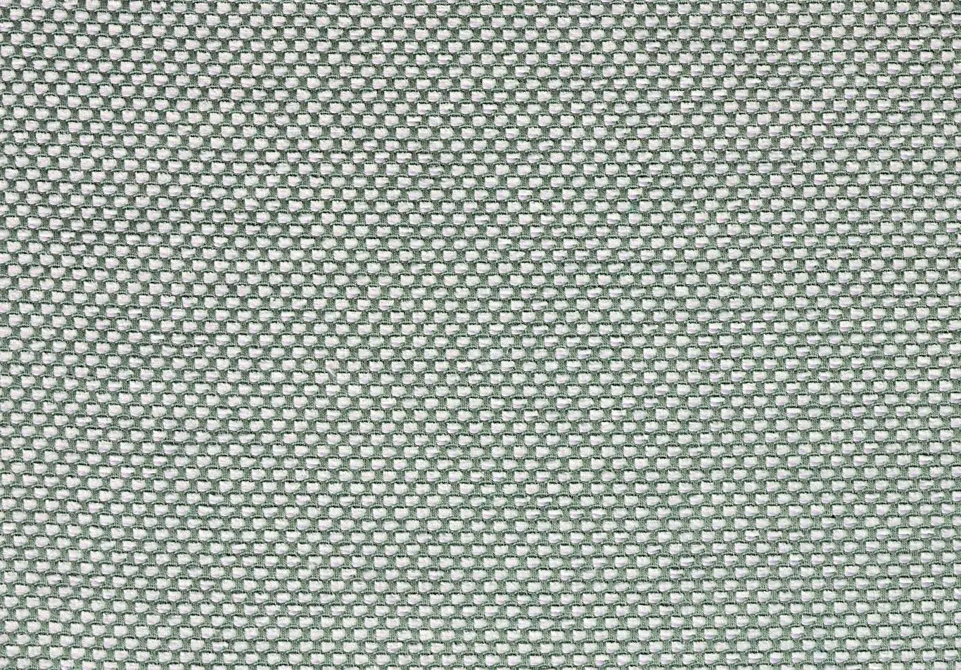 MIMOSA Lavender 12006-12