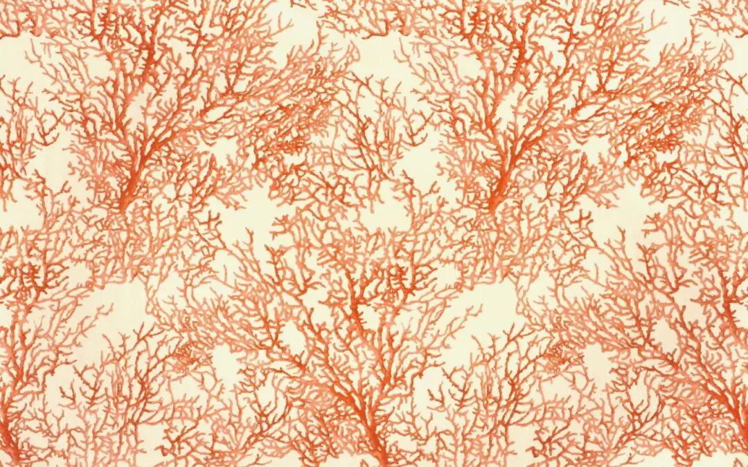 MOOREA Rouge 10012-01