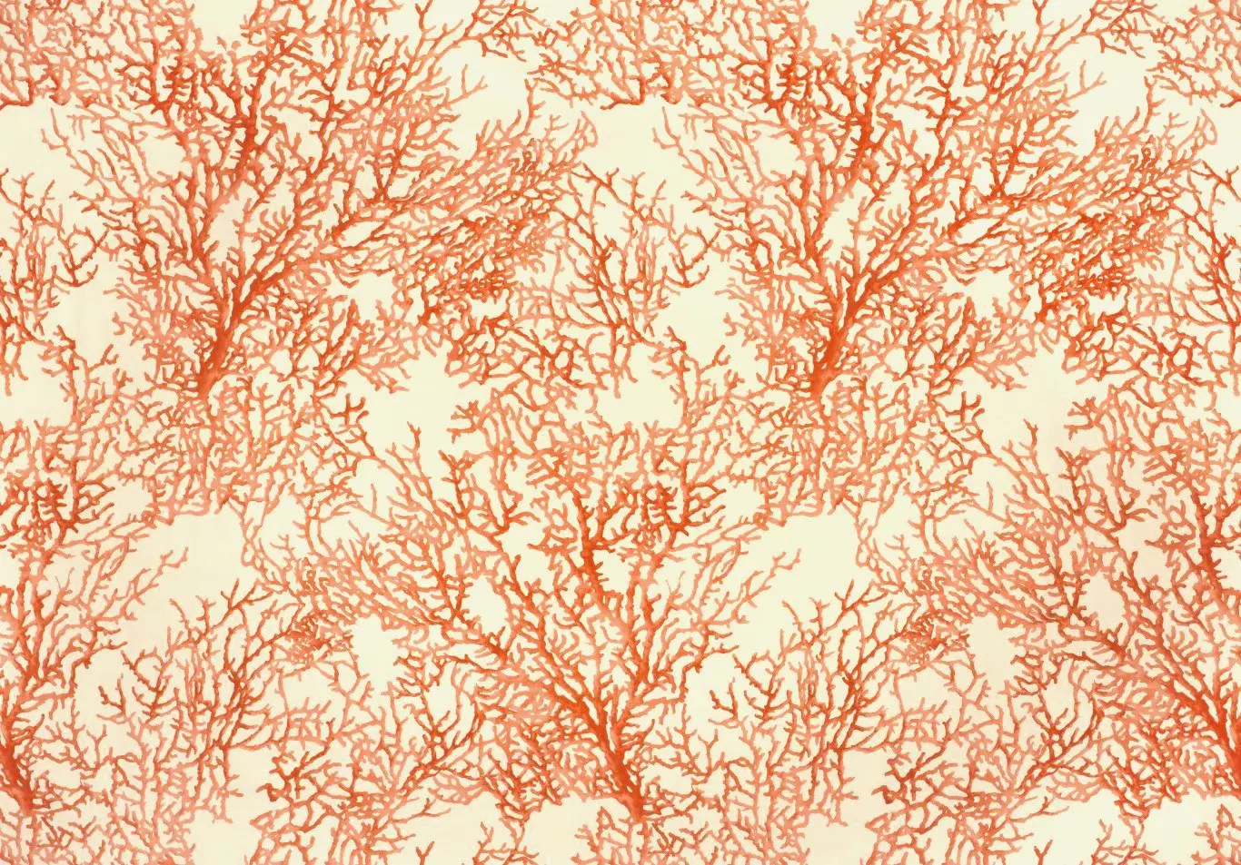 MOOREA Rouge 10012-01