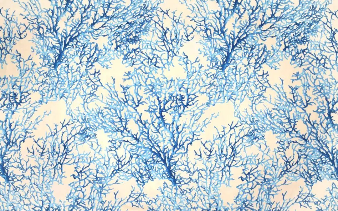 MOOREA Blue 10012-02