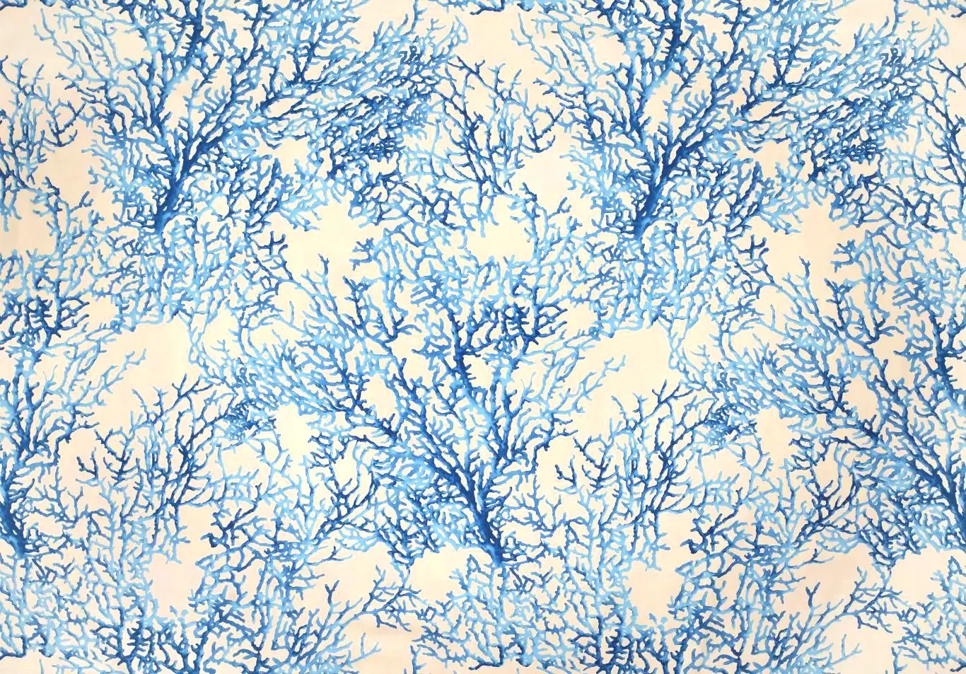 MOOREA Blue 10012-02