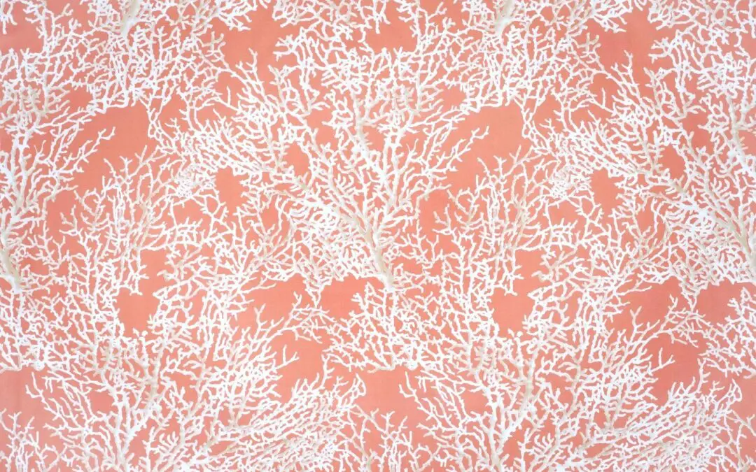 MOOREA Coral 10012-04