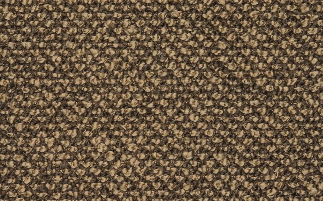 ELECTRA Lentil 10115-13