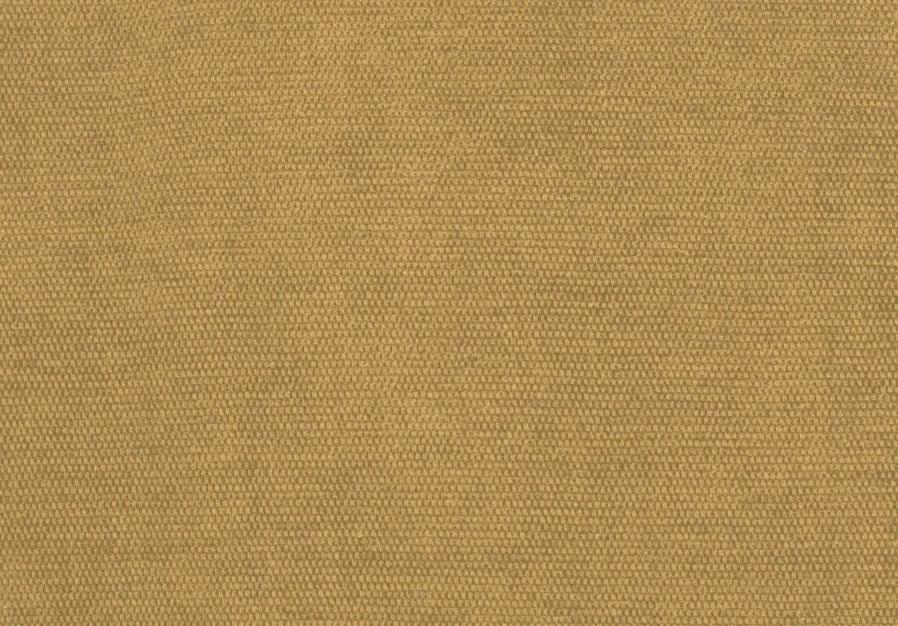 ALBALI Khaki 10117-06