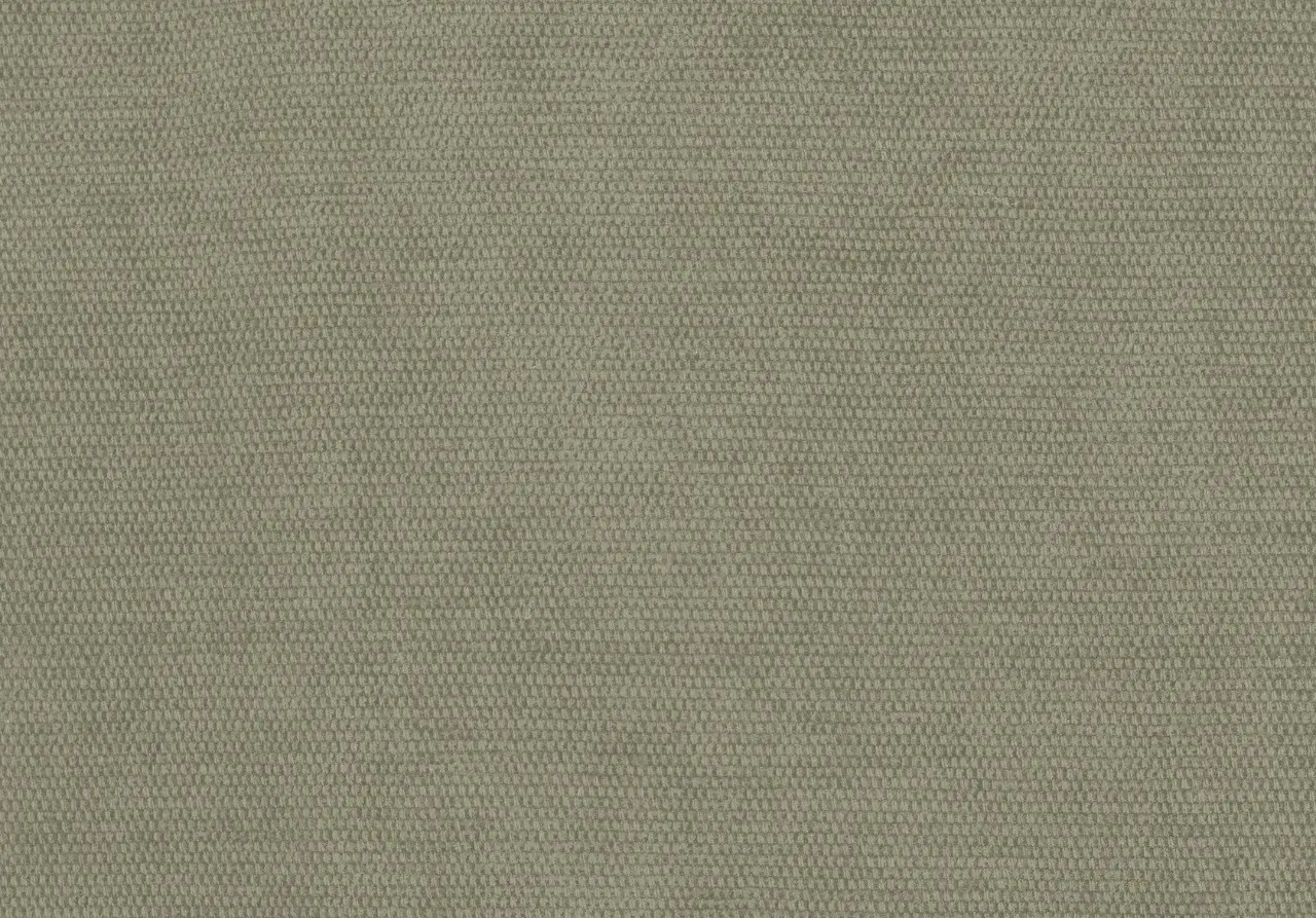 ALBALI Oystershell 10117-08