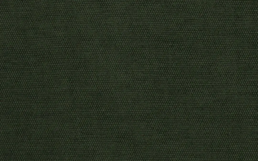 ALBALI Forest 10117-31