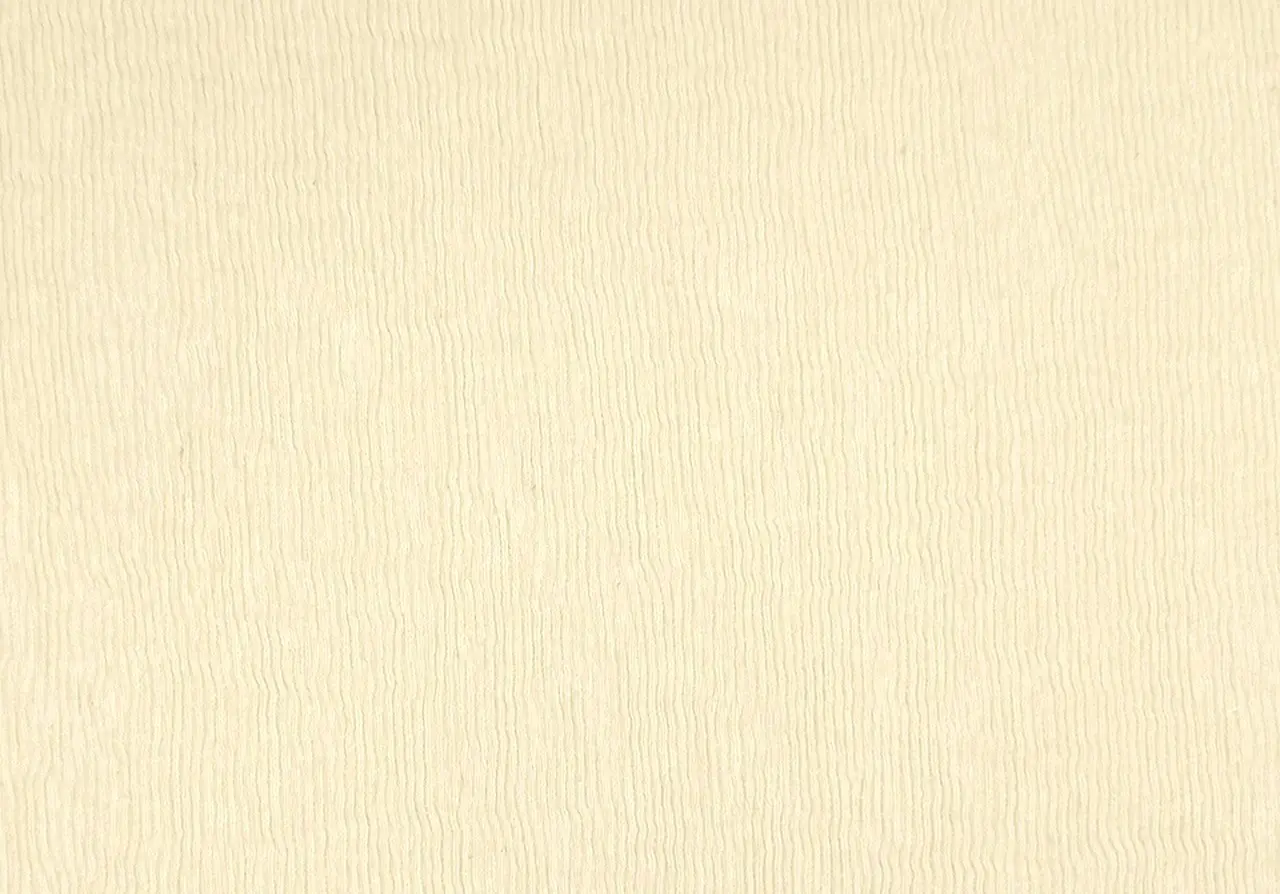 SAVANNA White 13113-01